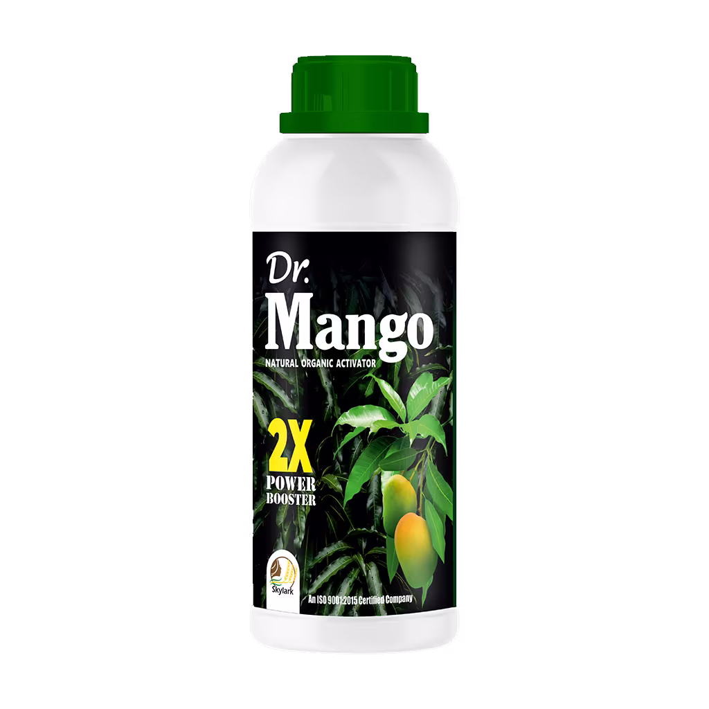 Dr. Mango