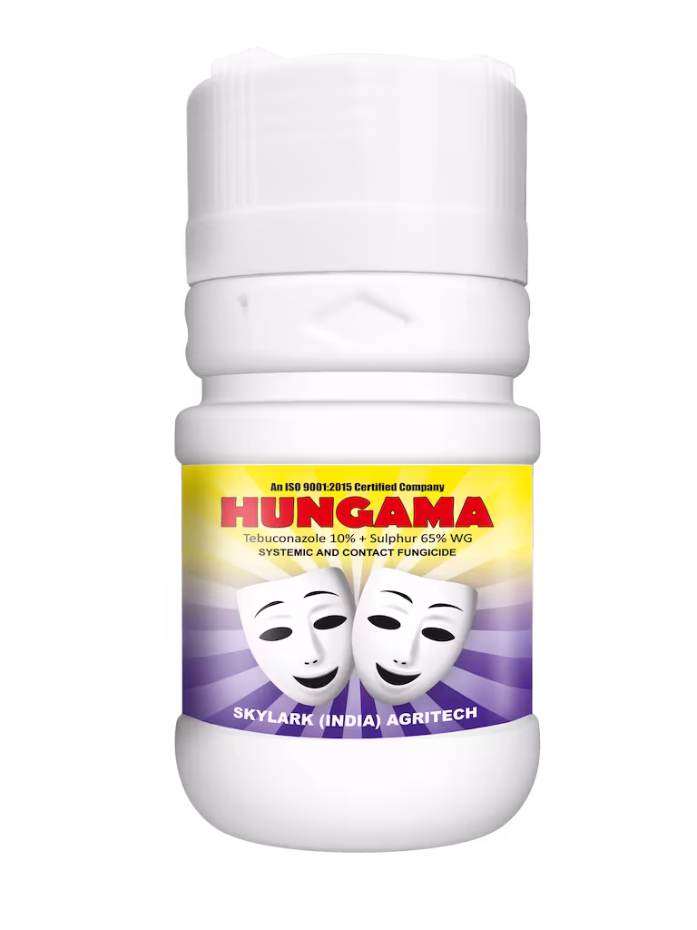 Hungama