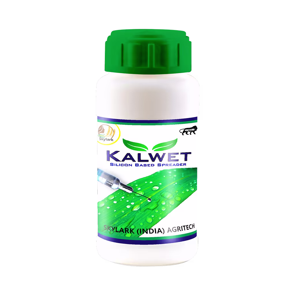 Kalwet