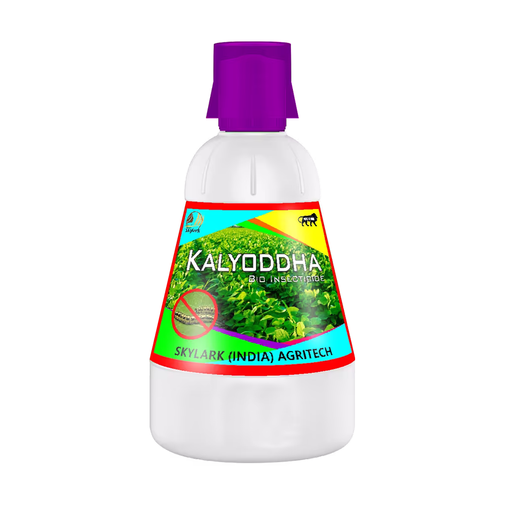 Kalyoddha