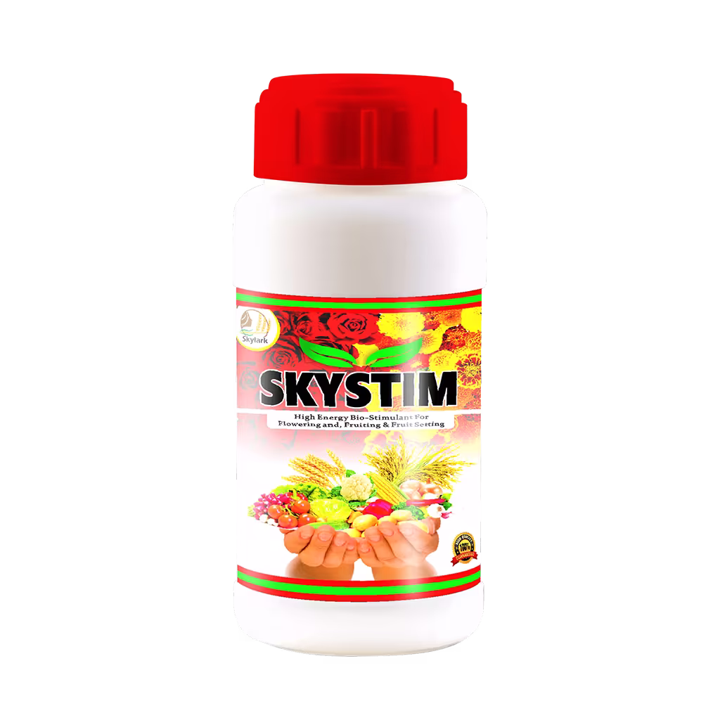 Skystim