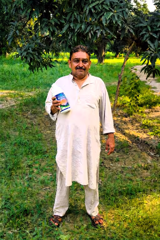 Mango farmer using kaal