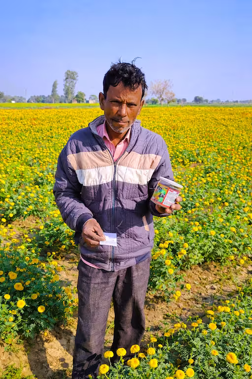 Marigold farmer using shakti