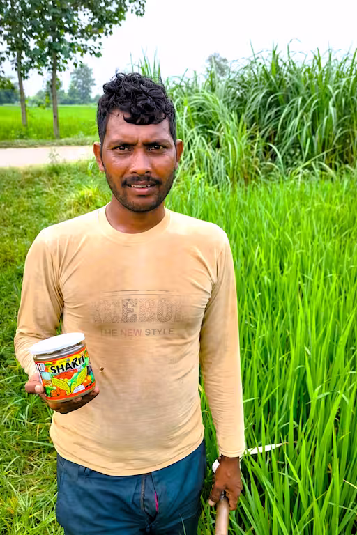 Paddy farmer using shakti