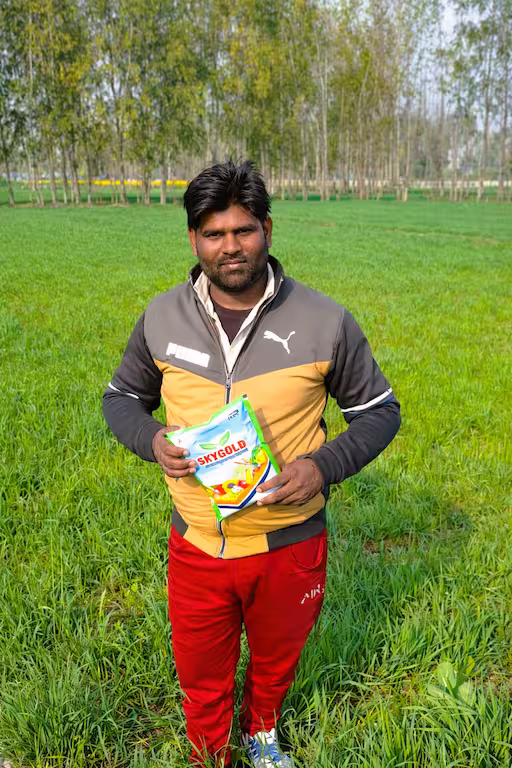 Wheat farmer with skygold